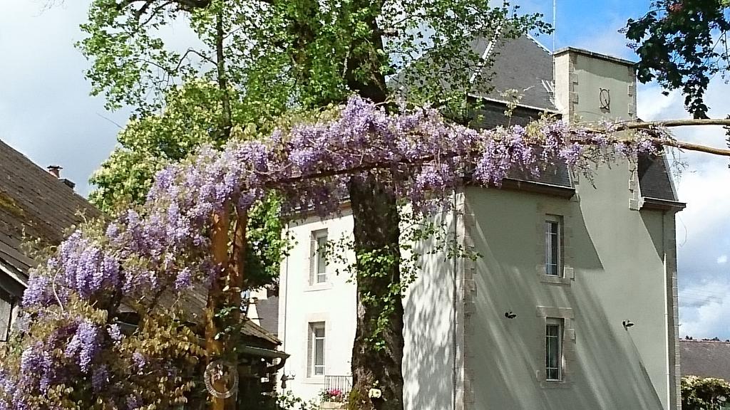Chateau Bily B&B Hotel La Cheze Exterior photo