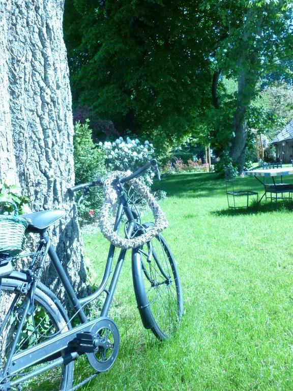 Chateau Bily B&B Hotel La Cheze Exterior photo