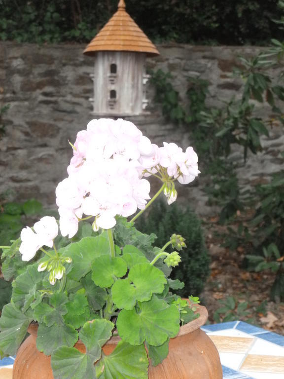 Chateau Bily B&B Hotel La Cheze Exterior photo
